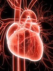 Cardio vessel system and high blood pressure